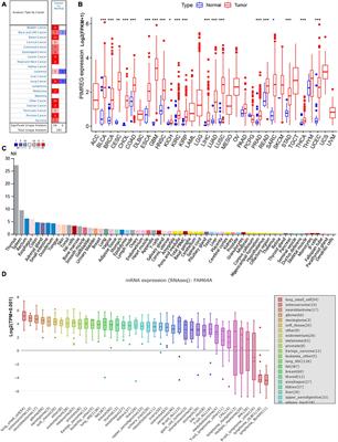 Pan-Cancer Analysis of PIMREG as a Biomarker for the Prognostic and Immunological Role